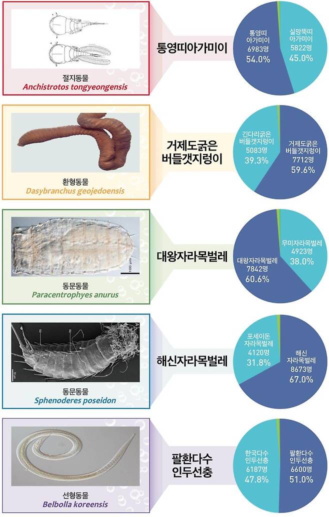 온라인 선호도 조사 결과 ⓒ해수부