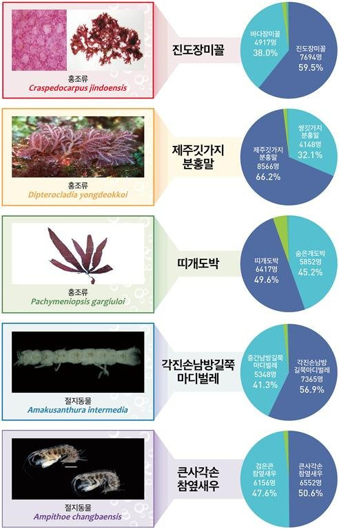 해수부, 해양생물 10종에 '진도장미꼴' 등 우리말