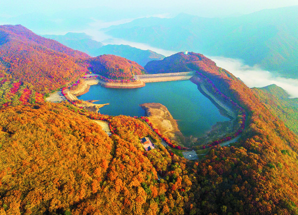 전북 무주 적상호 일대를 드론으로 촬영한 모습. 호수를 따라 띠처럼 이어진 단풍나무와 주변 나무들이 아침 햇살을 받아 붉은 치마를 두른 듯 화사한 가을색을 뽐내고 있다. 오른쪽 산 아래 무주호는 안개에 덮여 있다.