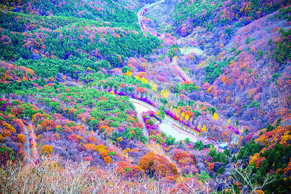 적상산전망대에서 내려다본 꼬불꼬불한 산악도로.