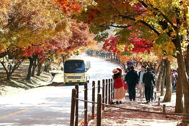 관광객들을 맞은 내장산 국립공원. *재판매 및 DB 금지