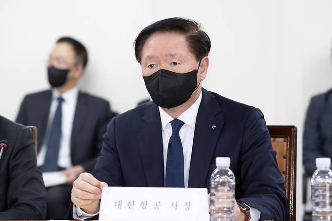 우기홍 대한항공 사장이 2일 김포공항에서 11개 국적 항공사 CEO가 참석한 가운데 열린 '항공안전 비상대책 회의'에서 발언하고 있다. ⓒ국토교통부