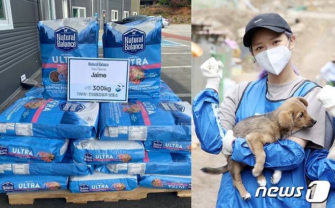 그룹 트와이스 정연의 해외팬이 동물보호소에 사료를 기부했다. 사진 왼쪽은 팬이 기부한 내추럴발란스 사료, 오른쪽은 블루엔젤봉사단 봉사 중인 정연 ⓒ 뉴스1 김진환 기자