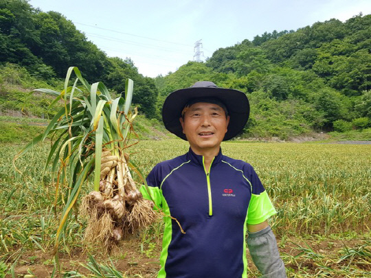 단양마늘 논골농원 신종우 대표