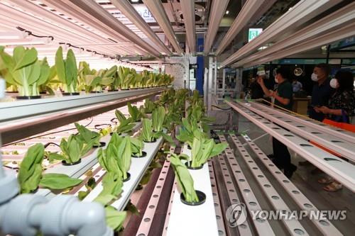 스마트 농업 지난 8월 광주 서구 김대중컨벤션센터에서 열린 '그린 어그리테크 아시아(Green & Agritech Asia) 2022'. [연합뉴스 자료사진]