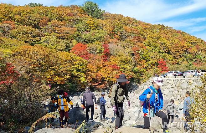 [제주=뉴시스] 우장호 기자 = 제주 한라산 천아계곡을 찾은 관광객들이 짙어가는 단풍을 보며 즐거운 시간을 보내고 있다. (뉴시스DB) woo1223@newsis.com