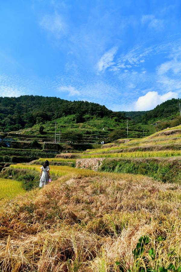 다랭이마을 논두렁길.