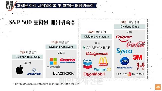 미국 S&P 500 배당귀족주