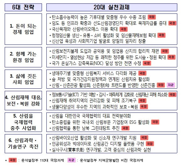 산림르네상스 6대 전략 20대 실천과제 /뉴스1