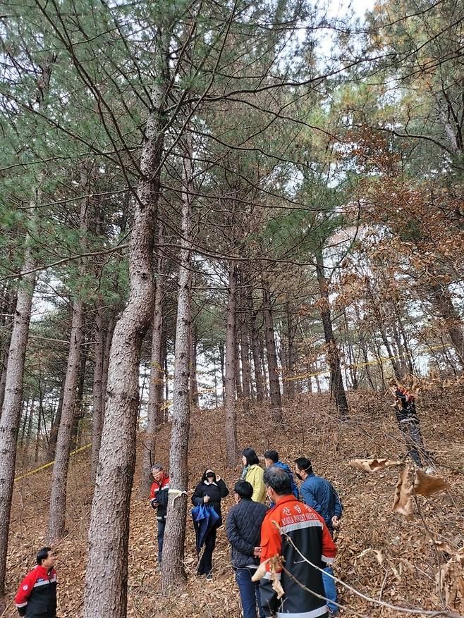 [대전=뉴시스] 산림당국이 소나무재선충병 신규 발생지인 강원 철원서 현장 점검을 하고 있다. *재판매 및 DB 금지