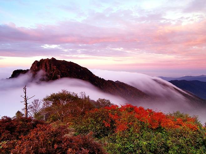 지리산 천왕봉의 가을. 사진 국립공원공단.