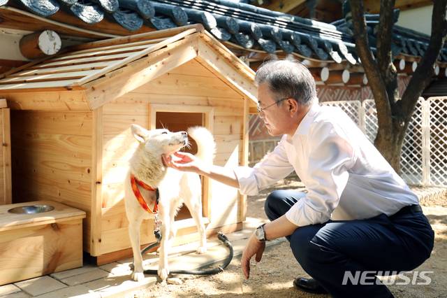 [서울=뉴시스] 박진희 기자 = 문재인 전 대통령이 지난 2018년 10월2일 오후 관저에서 '2018 남북정상회담 평양’ 북측 선물 풍산개 암컷 '곰이'를 어루만지고 있다. 2018.10.05. (사진=청와대 제공)  pak7130@newsis.com