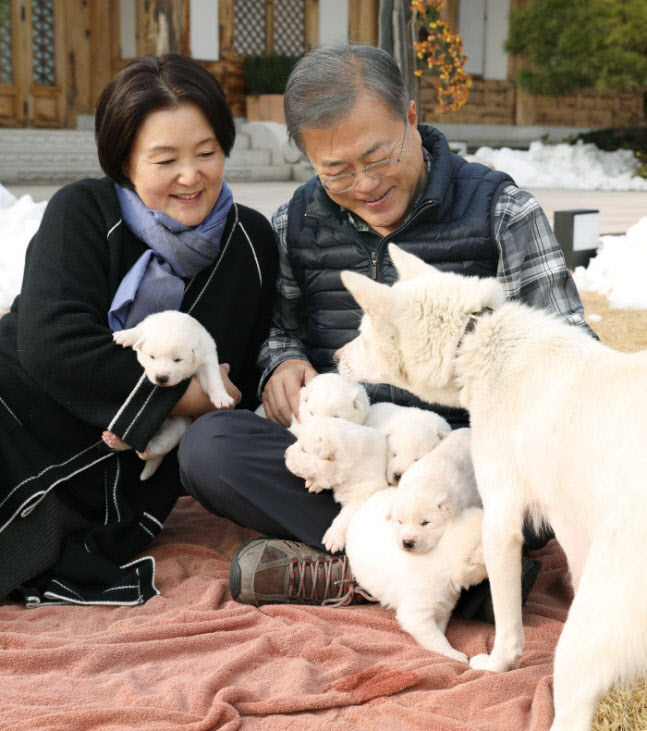 문재인 대통령과 김정숙 여사가 풍산개 ‘곰이’의 새끼들을 살펴보고 있다.(사진=청와대 제공)