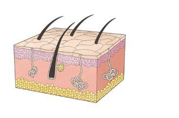[사진=서울아산병원 홈페이지]