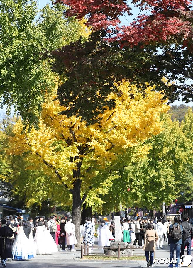 전북 전주시 한옥마을이 관광객들로 북적이고 있다. 2022.10.25/뉴스1 ⓒ News1 유경석 기자