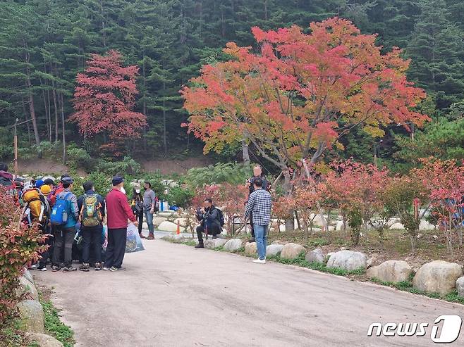 (사진은 기사 내용과 무관함) / 뉴스1 ⓒ News1