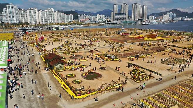 [창원=뉴시스] 강경국 기자 = 가을철 전국 최대 규모의 꽃 축제인 제22회 마산국화축제가 10월29일부터 11월9일까지 12일 간 마산해양신도시, 3·15해양누리공원, 합포수변공원, 오동동 문화광장 등에서 개최됐다. (사진=창원시청 제공). 2022.11.10. photo@newsis.com *재판매 및 DB 금지