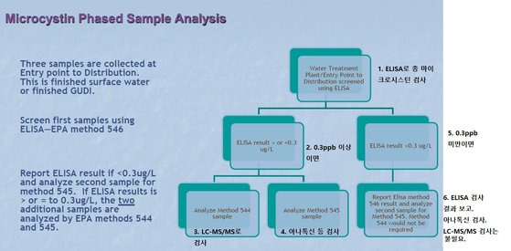 미국에서 수돗물 마이크로시스틴 검출 흐름도. 효소결합면역흡착법(ELISA)를 먼저 사용하고, 농도가 0.3 ppb 보다 높으면 액체크로마토그래피(LC-MS/MS)로 추가 분석하고, 이보다 낮으면 그 검출 결과를 보고하고 또다른 독소를 추가로 검사하도록 하고 있다. [미국 환경보호국]