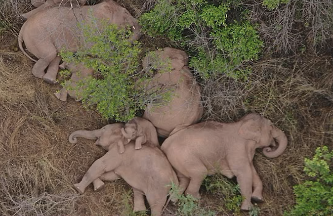 기사와 직접적인 연관이 없는 이미지. / 사진 = 데일리메일 캡처