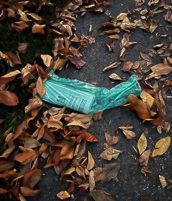 평일 아침이면 어김없이 찾아오는 신문이다.