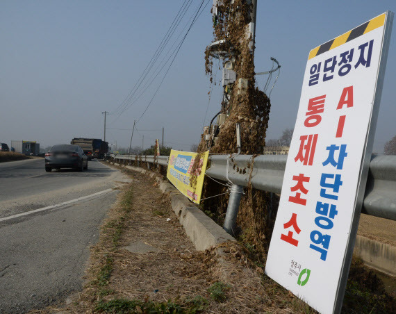 고병원성 조류인플루엔자(AI) H5N1형 의심축이 발생한 충북 청주시 청원구 북이면에 지난 10일 오전 출입금지 입간판이 설치돼 있다.(사진=뉴시스)