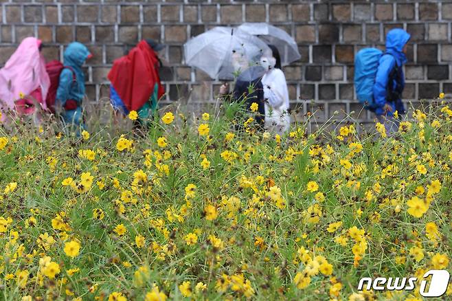 13일 충북과 세종은 예상 강수량은 5~30㎜ 비가 내릴 것으로 예보됐다.(사진은 기사 내용과 무관함) / 뉴스1