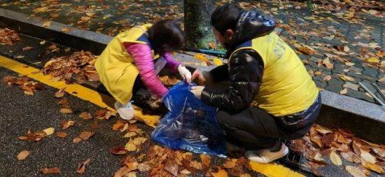 신길7동 주민센터 직원들이 빗물받이 주변 낙엽을 정리하고 있다.