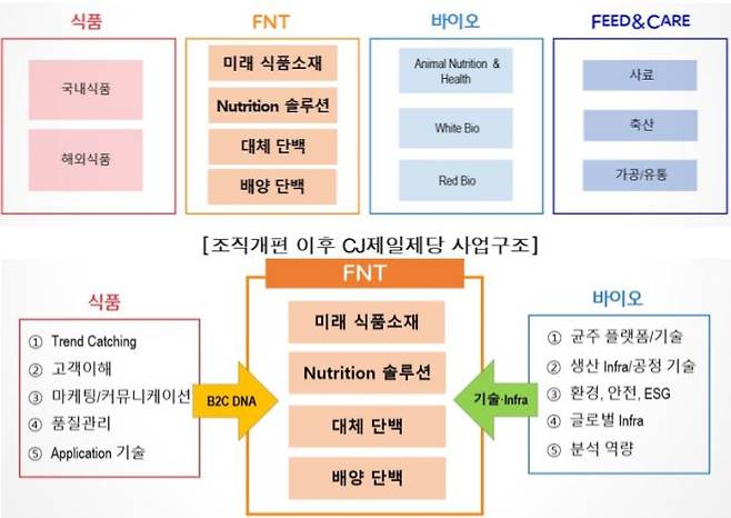 CJ제일제당의 조직개편 이후 사업구조(위)와 FNT사업부문 사업 구조. /CJ제일제당 제공