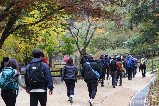 단풍 즐기려 몰려든 등산객들 <연합뉴스>