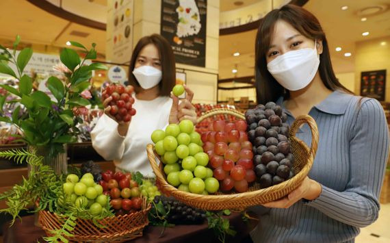 [사진]신세계 "고품질·이색 포도 맛보세요"