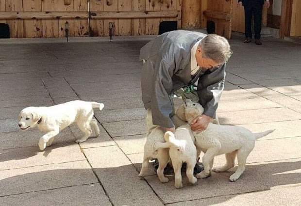 문 전 대통령이 재임 시절 김정은 북한 국무위원장으로부터 선물 받은 풍산개 '곰이'가 낳은 강아지들과 즐거운 시간을 보내고 있다 (사진=연합뉴스/청와대 제공)