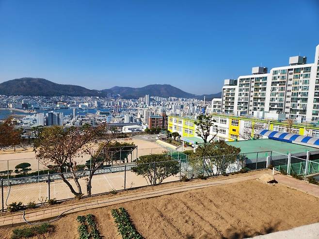 도심 속 미니학교가 된 신선초등학교 [차근호 기자]