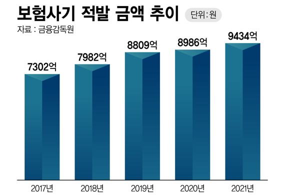 보험사기 적발 금액 추이 /그래픽=정기현 기자