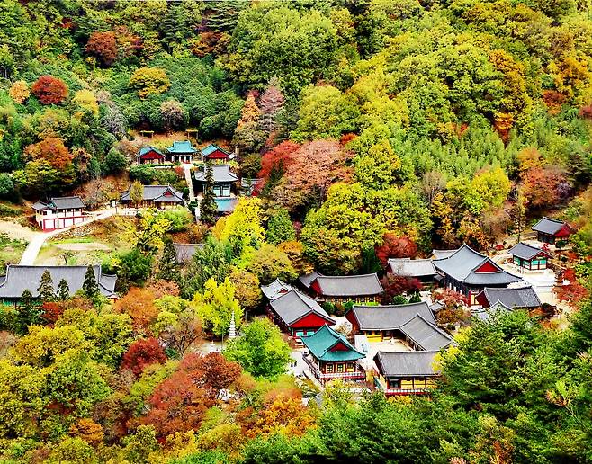 지리산 하동 쌍계사
