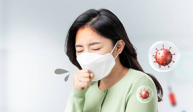 클립아트코리아