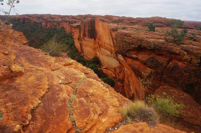 칼로 벤 듯 잘려나간 킹스캐년의 거대한 협곡