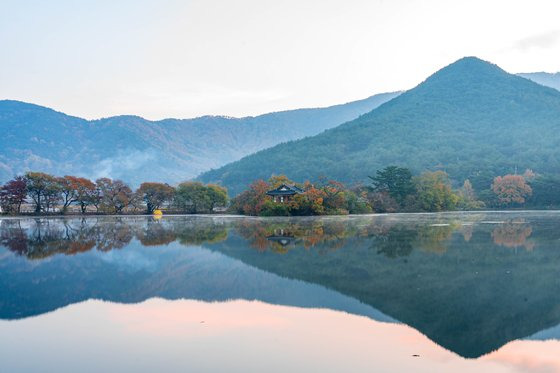 가을날 더욱 화려한 면모를 드러내는 위양지. 저수지를 한 바퀴 도는 둘레길이 조성돼 있다.