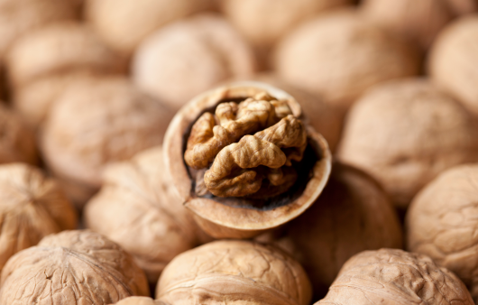 호두 | 출처 : 클립아트코리아