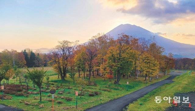 홋카이도의 후지산으로 불리는 ‘요테이산’.