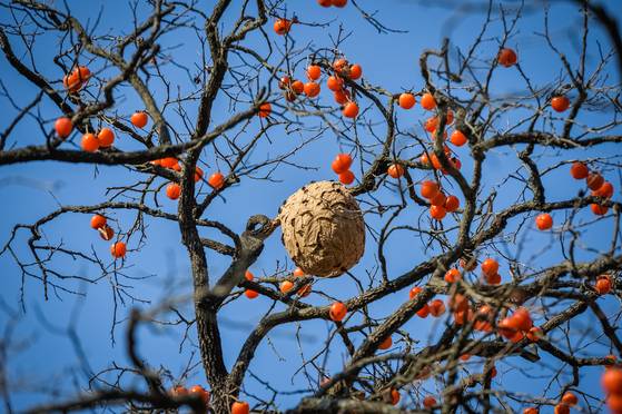 와이드샷 11/19