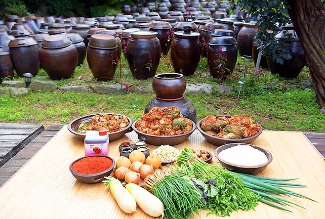 [세종=뉴시스] 한국농수산식품유통공사(aT)는 17일 기준 배추 20포기 김장비용이 21만5000원이라고 전했다. (사진=aT 제공) *재판매 및 DB 금지