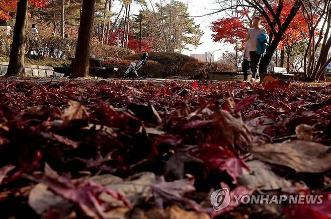 늦가을 산책 (서울=연합뉴스) 류영석 기자 = 포근한 날씨를 보이는 20일 오후 서울 남산에서 시민들이 겉옷을 벗은 채 걸어가고 있다. 2022.11.20 ondol@yna.co.kr