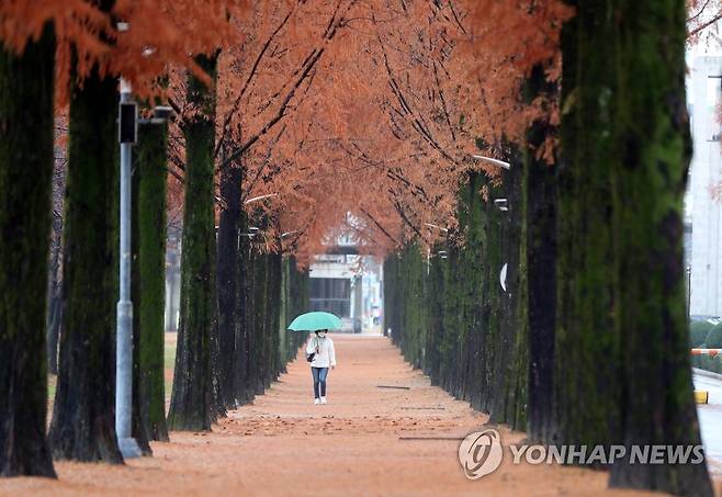 [연합뉴스 자료사진]