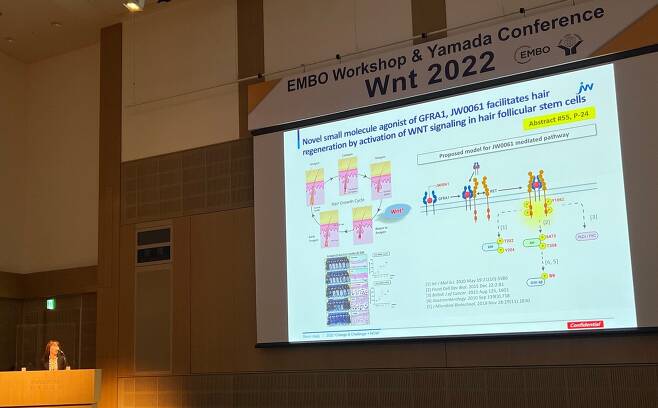 JW중외제약은 'Wnt 2022' 학회에서 Wnt 표적 탈모치료제 후보물질 ' W0061'의 작용기전과 전임상 결과 등을 구두 발표했다.
