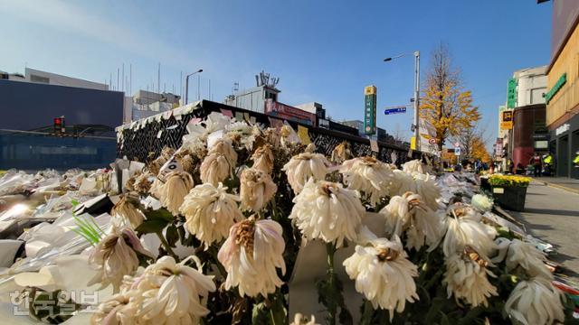 21일 서울 용산구 이태원역 1번 출구 '이태원 참사' 추모 공간에 국화가 시든 채 놓여 있다. 나광현 기자