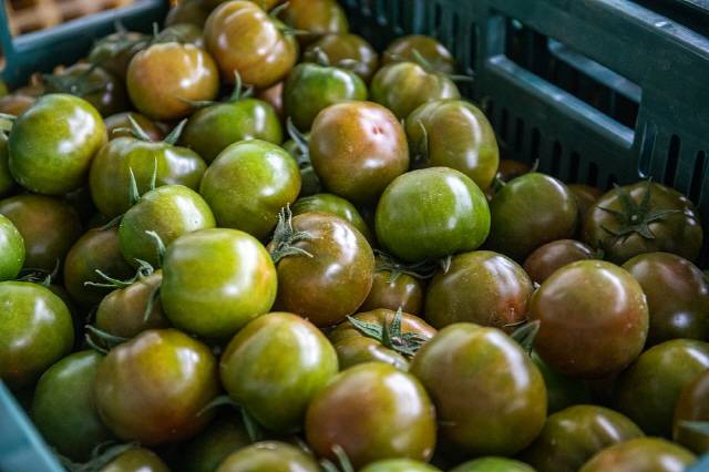 사진=클립아트코리아