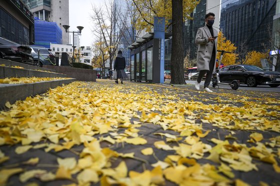 15일 오후 서울 중구 을지로에서 시민들이 낙엽을 밟으며 이동하고 있다. 뉴시스