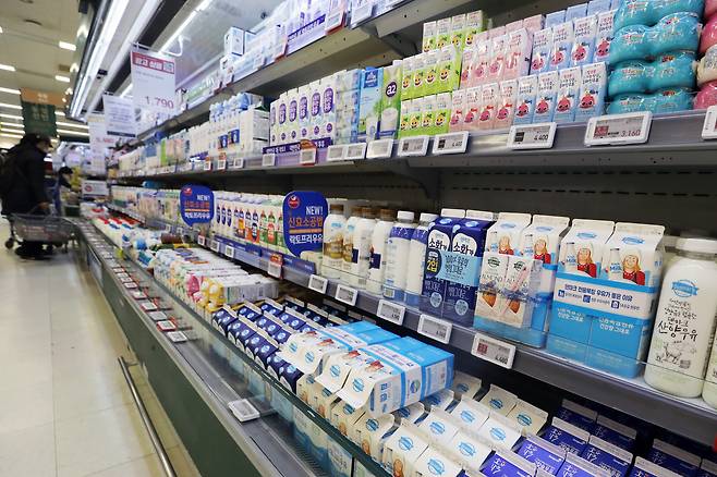 우유 가격 올랐다…1L에 2,800원대 - 17일 서울시내 한 대형마트에 우유 제품이 진열돼있다.유업체들의 이날 우윳값을 일제히 인상, 흰 우유 가격은 대부분 1L당 2800원대로 형성됐다. 2022.11.17 뉴스1