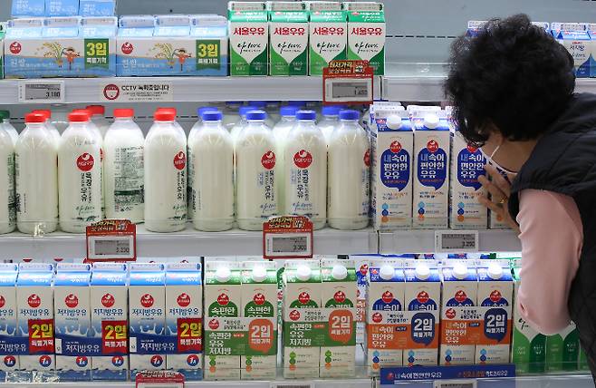 2023년부터 우유류 등을 제외한 식품에 소비기한이 적용된다. 서울 한 대형마트에 우유 제품이 진열돼 있다./사진=뉴스1