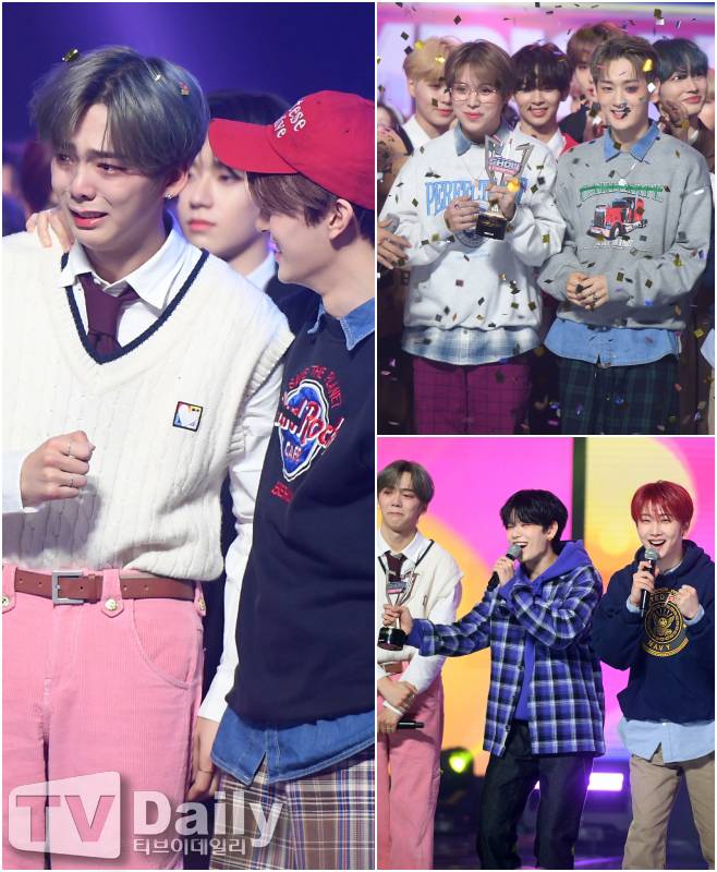 티브이데일리 포토